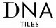 DNA Tiles